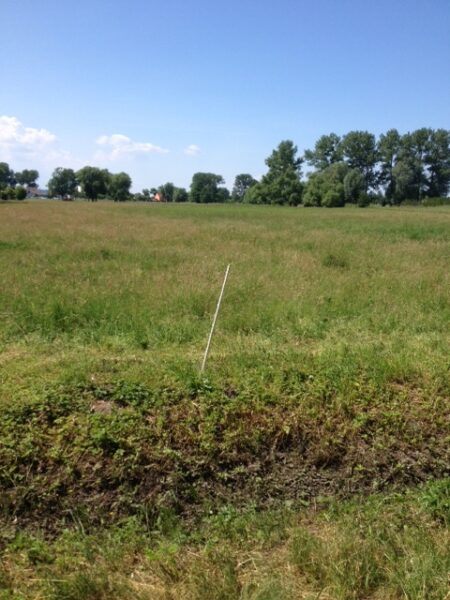 Lubczyna działka 900 m od J. Dąbskie 1301 m2,