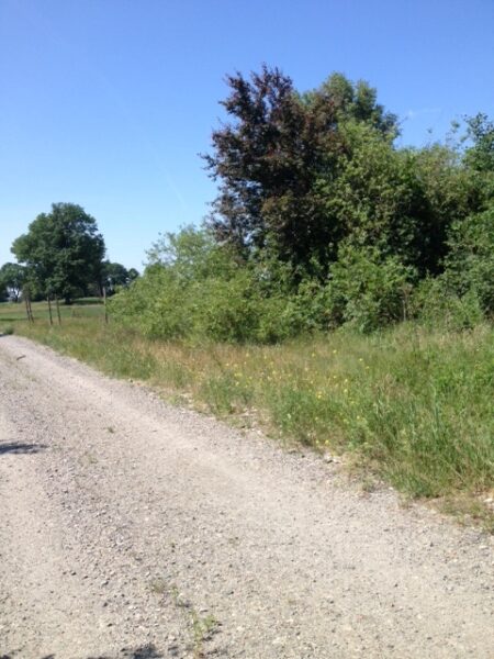 Lubczyna działka 900 m od J. Dąbskie 1301 m2,