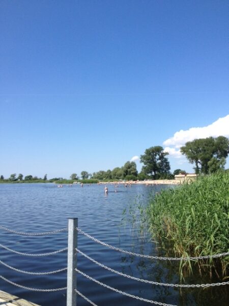 Lubczyna działka 900 m od J. Dąbskie 1301 m2,