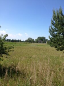Lubczyna działka 900 m od J. Dąbskie 1301 m2,