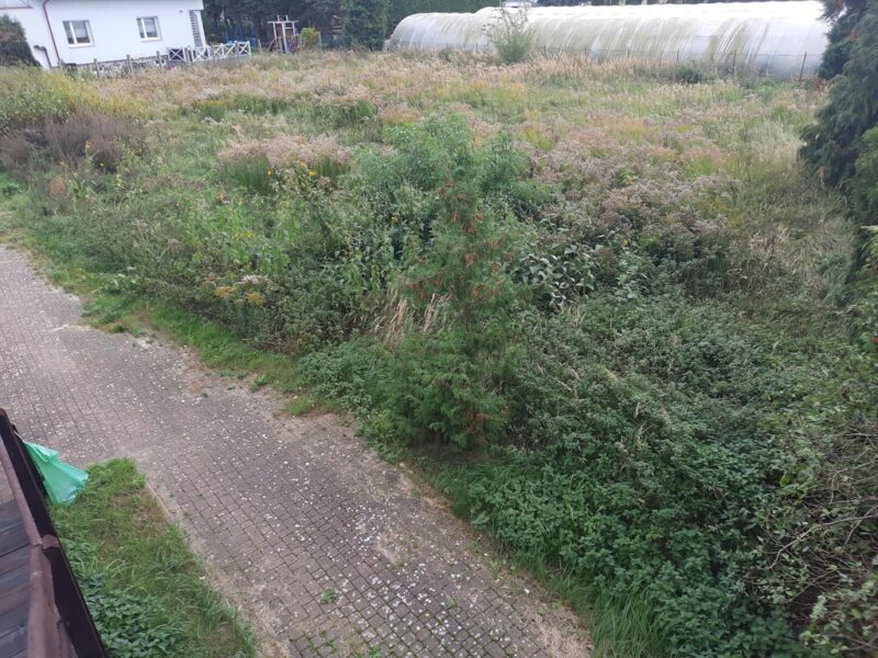 Dobra Szcz. budowlana działka 1180 m2