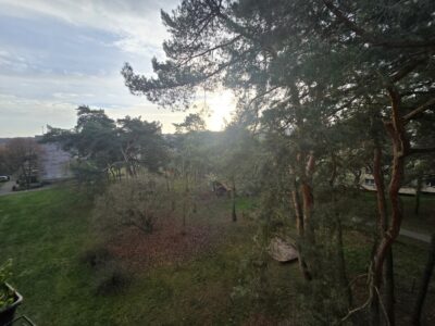 Mieszkanie z widokiem na park