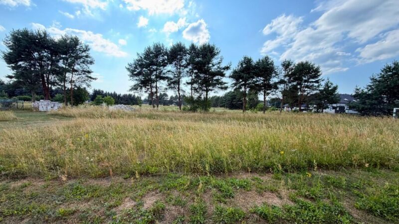 Działka 2684 m² w zielonej okolicy - Modrzewie