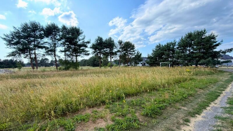 Działka 2684 m² w zielonej okolicy - Modrzewie