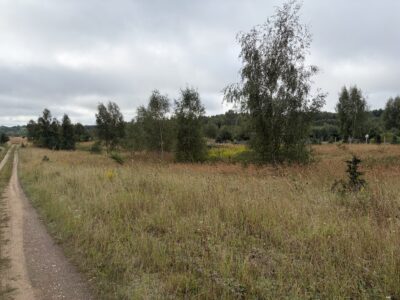 Działka rekreacyjna 3001 m² – Storkowo, gm. Ińsko