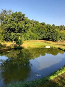 Siedlisko z domem z bali i własnym stawem