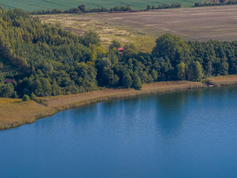 Własna linia brzegowa. Prywatny las. Jezioro.
