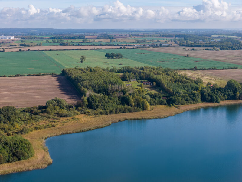 Własna linia brzegowa. Prywatny las. Jezioro.