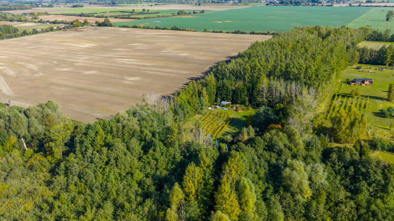 Własna linia brzegowa. Prywatny las. Jezioro.