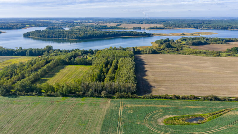 Własna linia brzegowa. Prywatny las. Jezioro.