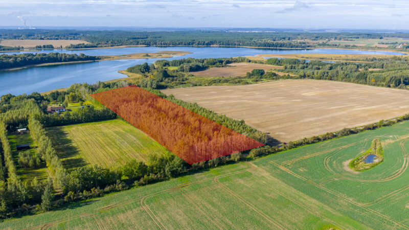 Własna linia brzegowa. Prywatny las. Jezioro.