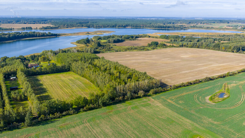 Własna linia brzegowa. Prywatny las. Jezioro.