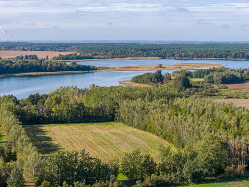 Własna linia brzegowa. Prywatny las. Jezioro.