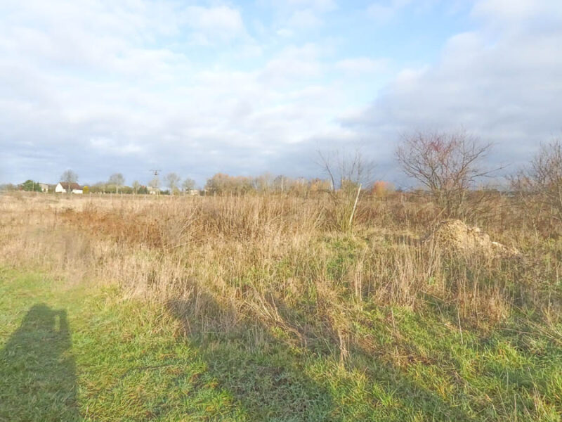 Stara Dąbrowa działka 1532 m2 55,48 zł/m2