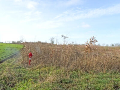 Stara Dąbrowa działka 1532 m2 55,48 zł/m2