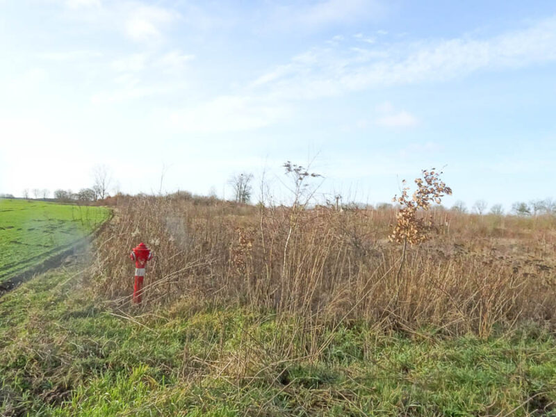 Stara Dąbrowa działka 1532 m2 55,48 zł/m2