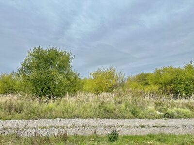 Działka 1103 m2 z panoramą na miasto