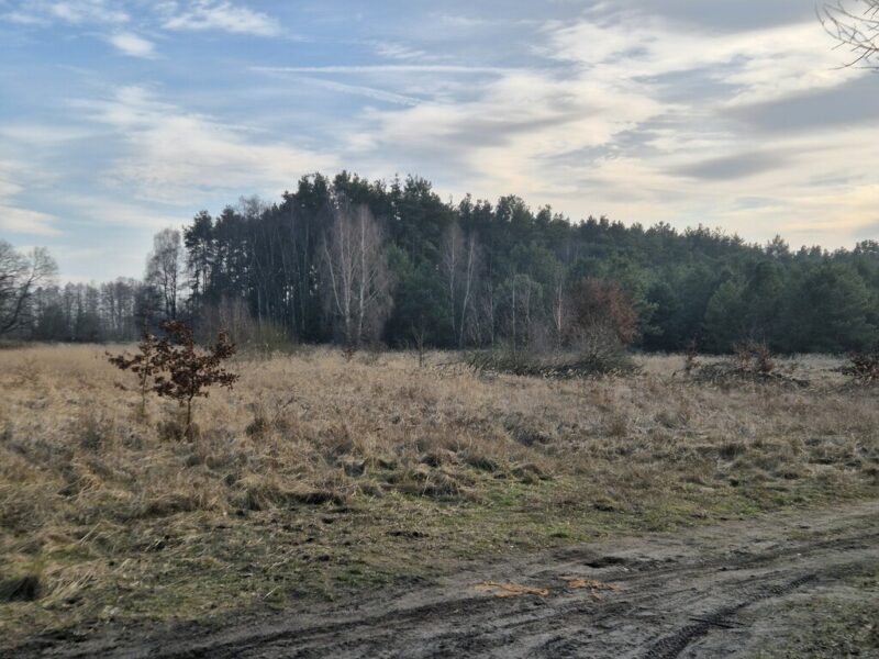 Działki Świnoujście - pod lasem - wszystkie media