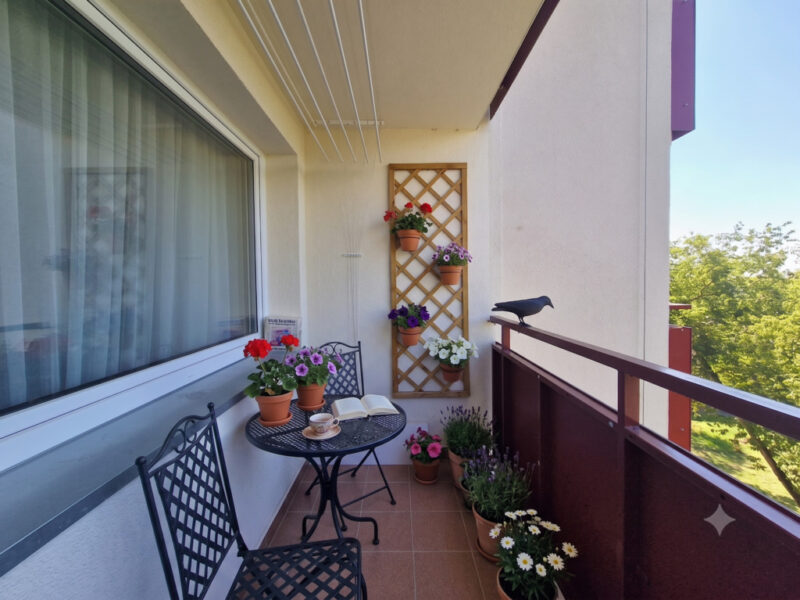 ★ 2 pokoje ★ Os. Książąt Pomorskich ★ balkon