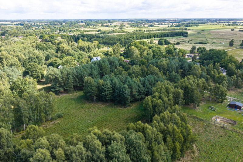 Działka z WZ | Las | 11 km od morza