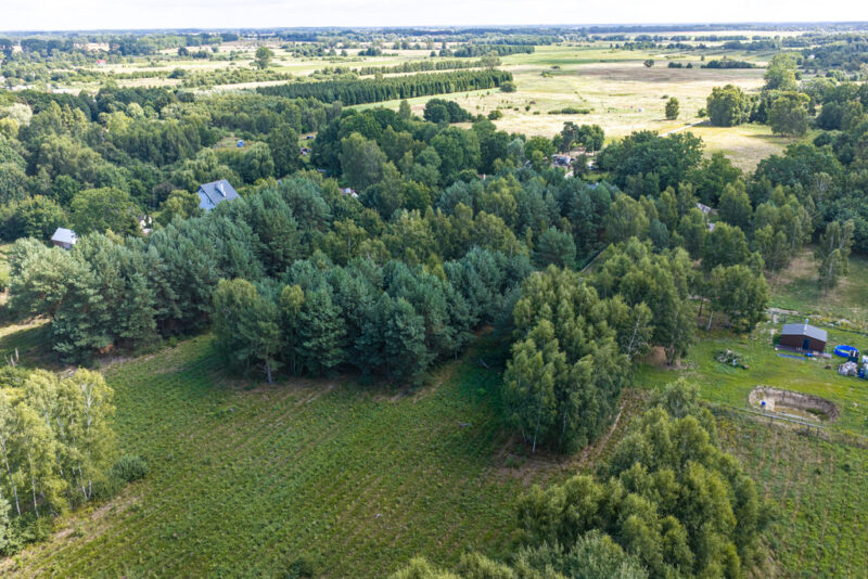 Działka z WZ | Las | 11 km od morza