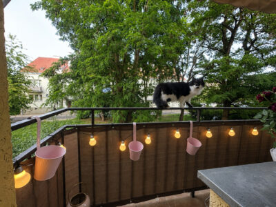 Spółdzielcze własnościowe POGODNO-2 pokoje | 49 m²