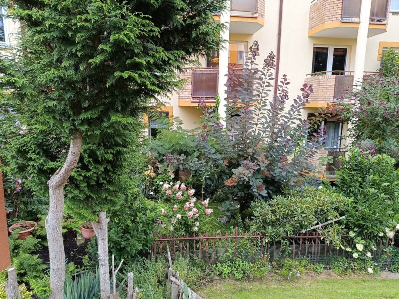 Balkon i ogródek! 57m2, duże 2 pokoje. Os. Bukowe!