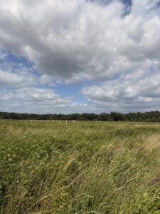 Działki z pozwoleniem na budowę w Niedźwiedziu