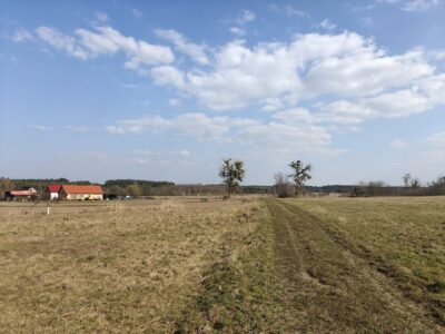 Działka budowlana Żarnowo, gm. Stepnica z MPZP