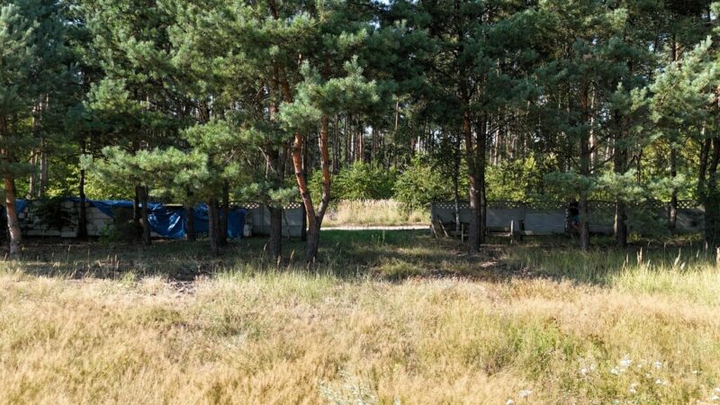 Działka budowlana pod lasem z POG ★ Nowe Czarnowo