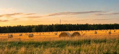 Dom z dużą działką w Marianowie – blisko Jeziora