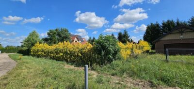 WYJĄTKOWA DZIAŁKA BUDOWLANA 829 m² Z WZ