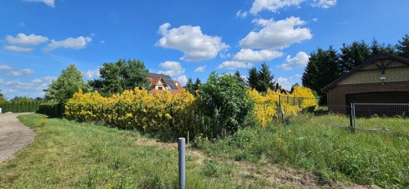 WYJĄTKOWA DZIAŁKA BUDOWLANA 829 m² Z WZ