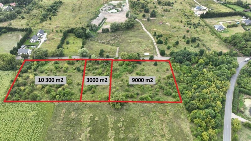 Atrakcyjna działka Dołuje 3000 m2 posiada WZ