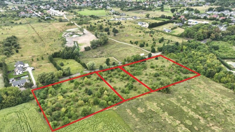Atrakcyjna działka Dołuje 3000 m2 posiada WZ