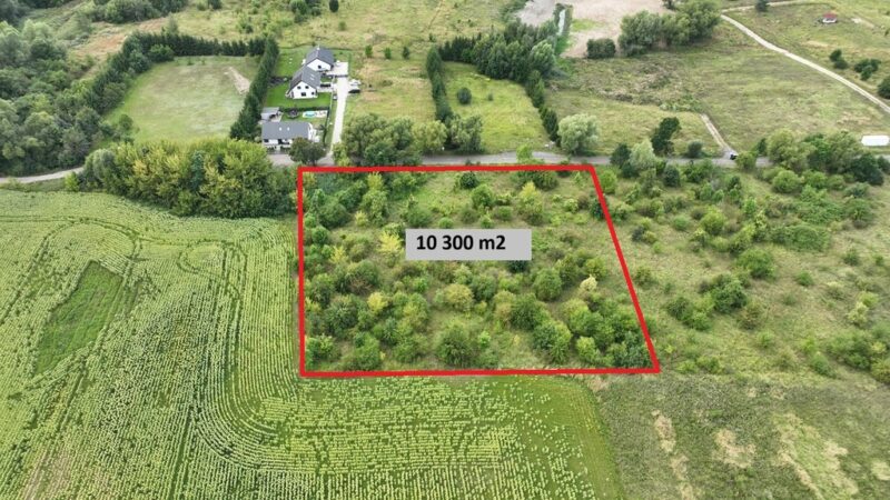 Działka Dołuje 10 300 m2 teren usług