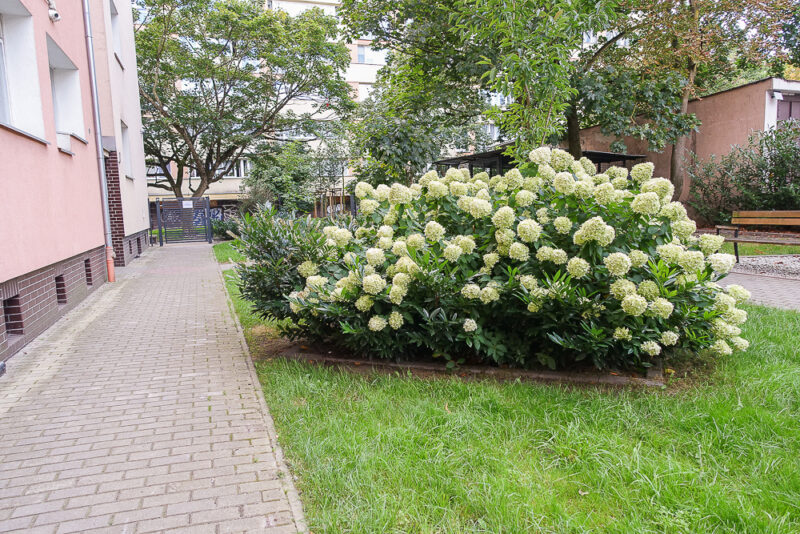 Śródmieście 2 pokoje, widna kuchnia, balkon