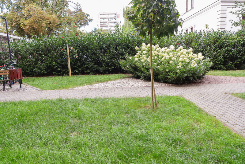 Śródmieście 2 pokoje, widna kuchnia, balkon
