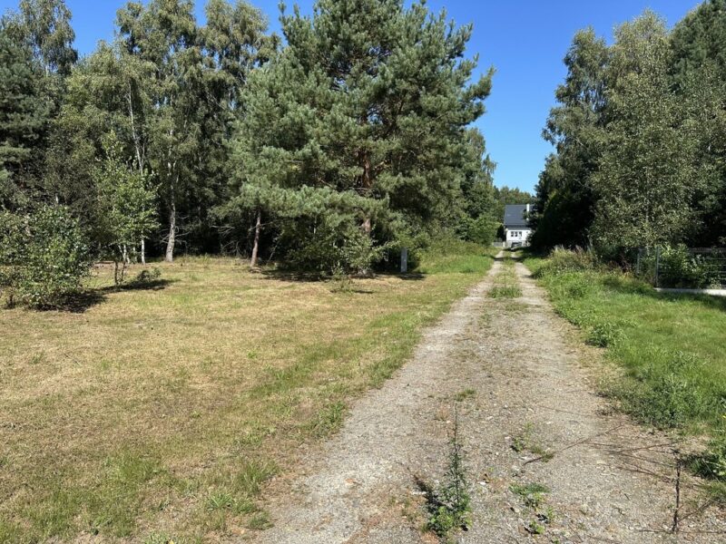 Działka z WZ | Las | 11 km od morza