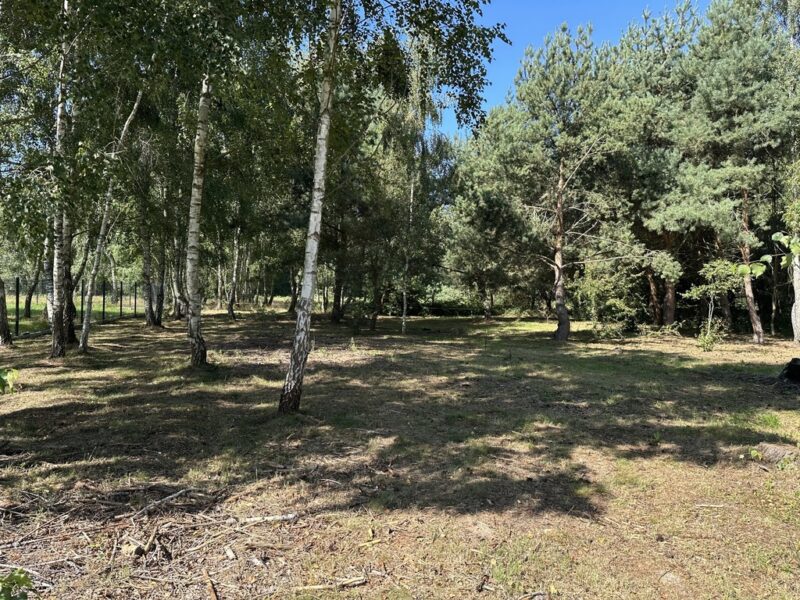 Działka z WZ | Las | 11 km od morza