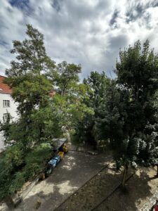 3-pokojowe z balkonem w dobrej cenie Niebuszewo