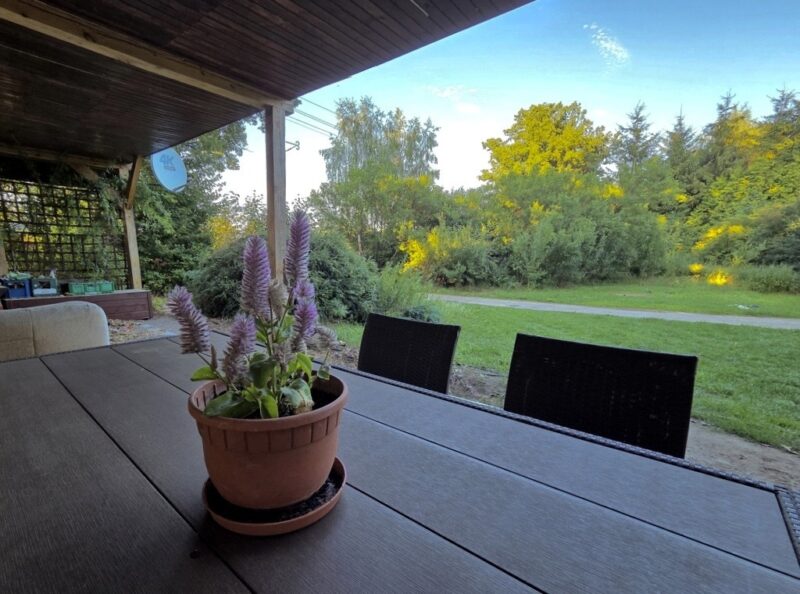 Dom-120 m2 z dużą działką - 6903 m2 | Łaniewo