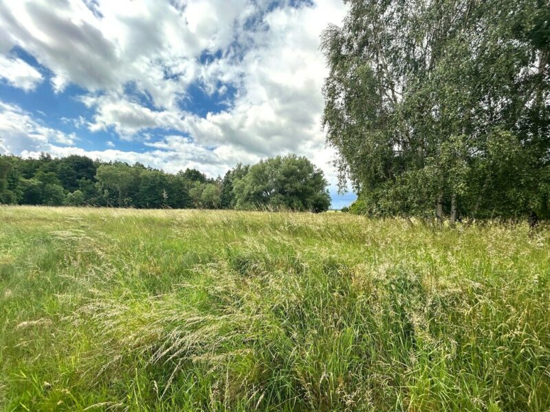 Teren Natura 2000. Decyzja o warunkach zabudowy