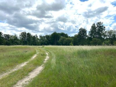Teren Natura 2000. Decyzja o warunkach zabudowy