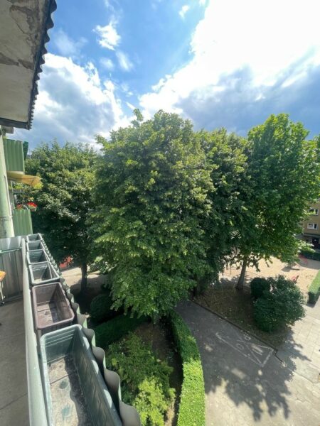 Do wynajęcia 2 pok. w centrum