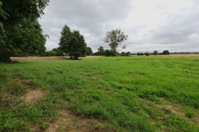 1,95 HA W ŻARNOWIE – TWOJE MIEJSCE BLISKO NATURY