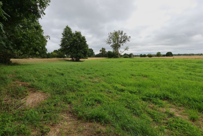 1,95 HA W ŻARNOWIE – TWOJE MIEJSCE BLISKO NATURY