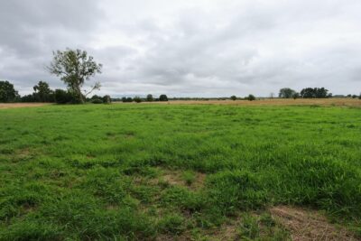 1,95 HA W ŻARNOWIE – TWOJE MIEJSCE BLISKO NATURY