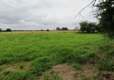 1,95 HA W ŻARNOWIE – TWOJE MIEJSCE BLISKO NATURY