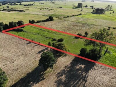1,95 HA W ŻARNOWIE – TWOJE MIEJSCE BLISKO NATURY